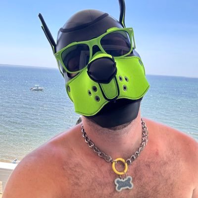 Vers Pup with a taste for all kinks. always up for collab.