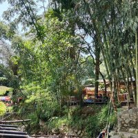 Ales (@atiklestantri2) 's Twitter Profile