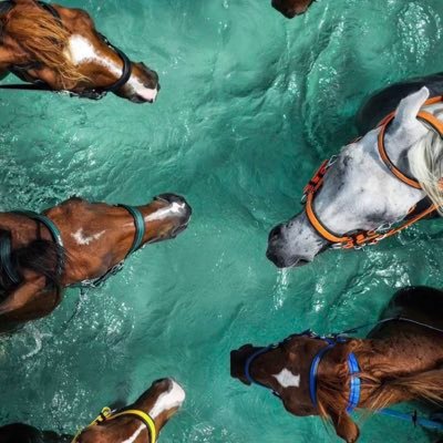 yuas890's profile picture. 