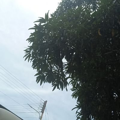 leida_crb's profile picture. Espero justicia por la infancia desnutrida y los ancianos abandonados debido al saqueo que aun hacen los Delicuentes que tienen secuestrado al Estado venezolano