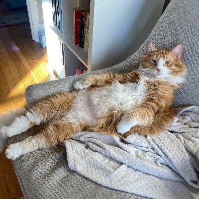 EvanHildebrandt's profile picture. 