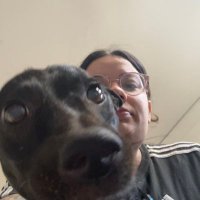 vitória (@cadevitoria) 's Twitter Profile