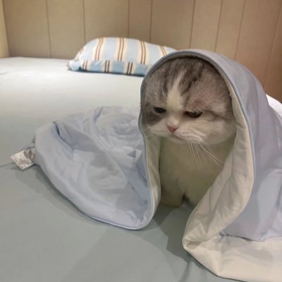 A812228's profile picture. 