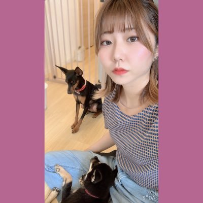 ボールパイソンの飼育や繁殖について有益な情報を発信したりしなかったり。ボール販売用垢→ @Basic_bp 趣味はゲーム。本業はシステムエンジニア💻