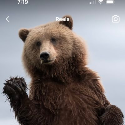 gdiannen's profile picture. 