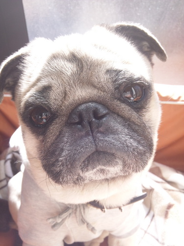 kimuno39's profile picture. 国民を欺くマスコミの捏造、偏向報道を見極め、正しい情報を拡散することが必要と思います。世界が左傾化している現状を覆すリーダーの出現を期待しています。