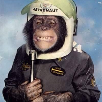 Bellaone519754's profile picture. 