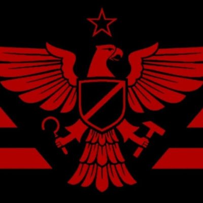 Helicóptero de combate
É os Guri vambora
Glória a Arstotzka
