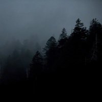 Kleylson Cavalcante (@shinzankuro) 's Twitter Profile Photo