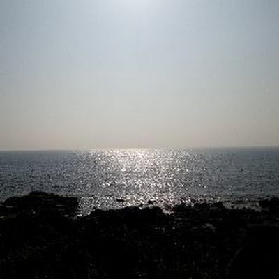 munsohyeon89529's profile picture. 