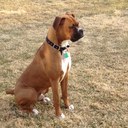 andre duncan - @duncan_andre - Twitter