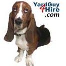 Yard Guy (@yardguyforhire) 's Twitter Profile