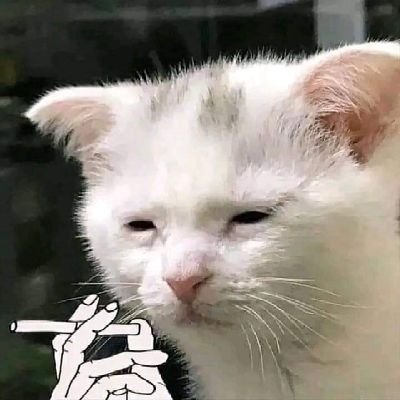 291746KS's profile picture. 21//M