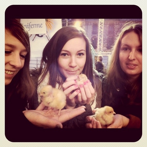 CharlotteFrl's profile picture. 