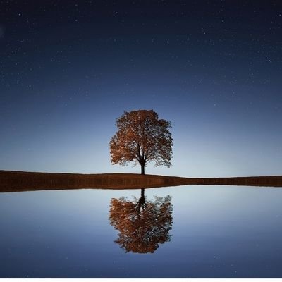 horhorik_3's profile picture. 