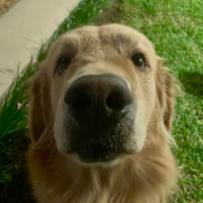 Shady_qm's profile picture. 