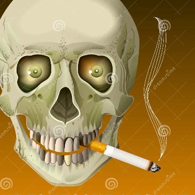 SKiNSFiEND's profile picture. 𝙷𝚒𝙶𝙷 𝙵𝙻𝙾𝙰𝚃 𝙴𝙽𝙹𝙾𝚈𝙴𝚁