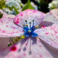 Ronka‘s NaturePhotography (@ronkaphotograp1) 's Twitter Profile Photo Ronka‘s NaturePhotography (@ronkaphotograp1) 's Twitter Profile Photo