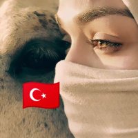 Asenayım🇹🇷🤘 (@asena_army_38) 's Twitter Profile