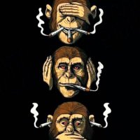 KurveKing88 (@mo4yohoe) 's Twitter Profile