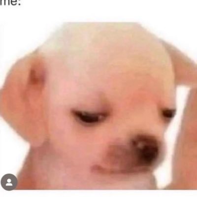 jollibeeguest's profile picture. 