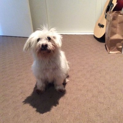 qpusjck's profile picture. 