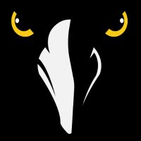 RSB Ravens Athletics (@rhsgullssports) 's Twitter Profile