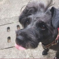 Craftworks KERIE (@cw_kerie) Twitter profile photo