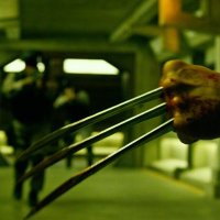 The Wolverine (@of_the_x_men) 's Twitter Profile
