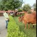 Jay Singh (@jaysingh1193956) Twitter profile photo Jay Singh (@jaysingh1193956) Twitter profile photo