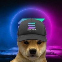 hat stay on $haton (@hatstaysosolana) Twitter profile photo