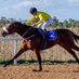 Joy N Punt Horse Racing (@joynpunter) Twitter profile photo Joy N Punt Horse Racing (@joynpunter) Twitter profile photo