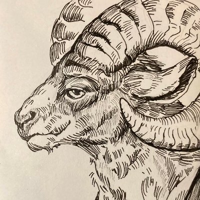 Bix/Bixby - He/Him - 26 - Hypnohorny ram 🔞 minors LEAVE
Art?? soon???
Icon by @demon_siberian