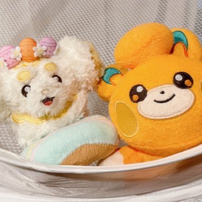 kyoUSのパモさんとパピモッチとの日記