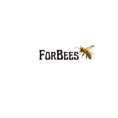 Welcome to Forbees! Stay updated with news, trends, tech updates, and essential tips. Follow us for insights and innovations!
#forbees #news #tech