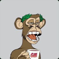 Bellino (@bellin0_) 's Twitter Profile Photo