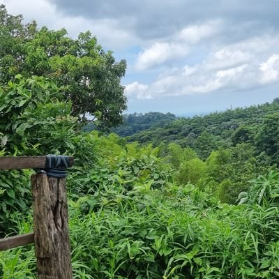 ElenaRebollo02's profile picture. 