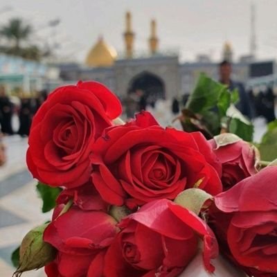 rugayyecaf's profile picture. ❤️08.09.2022 ERBAİN❤️01.11.2022 MEŞHED❤️
♥️20.01.2024 MEŞHED♥️ KERBELA♥️