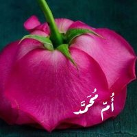 ﭠرﭜويِّـﮧ (@_as_zx_) 's Twitter Profile Photo ﭠرﭜويِّـﮧ (@_as_zx_) 's Twitter Profile Photo