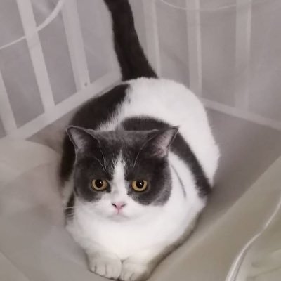 nanamemaenarae's profile picture. 