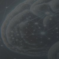 NeuroAI Workshop @ NeurIPS2024 (@neuroai_neurips) 's Twitter Profile Photo NeuroAI Workshop @ NeurIPS2024 (@neuroai_neurips) 's Twitter Profile Photo