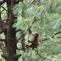 nomi (@muhammadnuman09) 's Twitter Profile