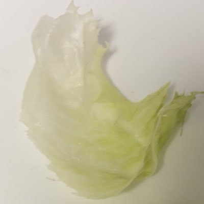 鳥ちょる!