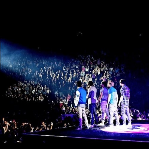We do 1D imagines, facts, quotes and horoscopes. If we follow you, please #FOLLOWBACK 