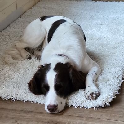 Oleary85S's profile picture. Yeah