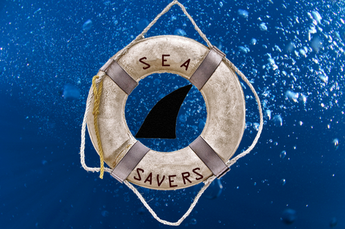 SeaSavers's profile picture. Helping to save our Oceans. Conserve. Protect. Free.