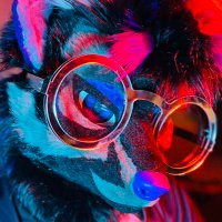 ZeeZore✨ (@zeezowore) 's Twitter Profile