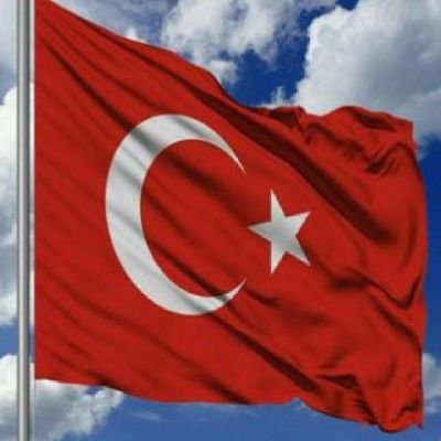 EmineDeveci1453's profile picture. 