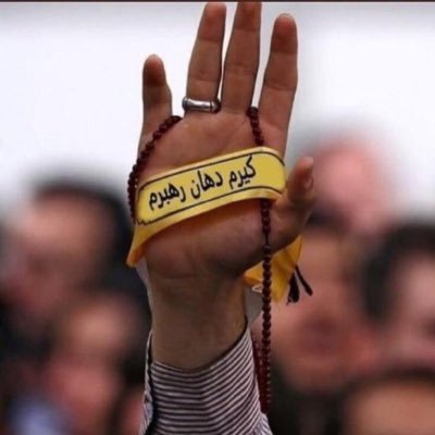 m677048381's profile picture. 