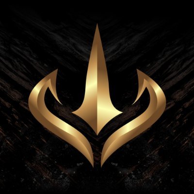 🟨SERA ESPORT⬛️ Profile